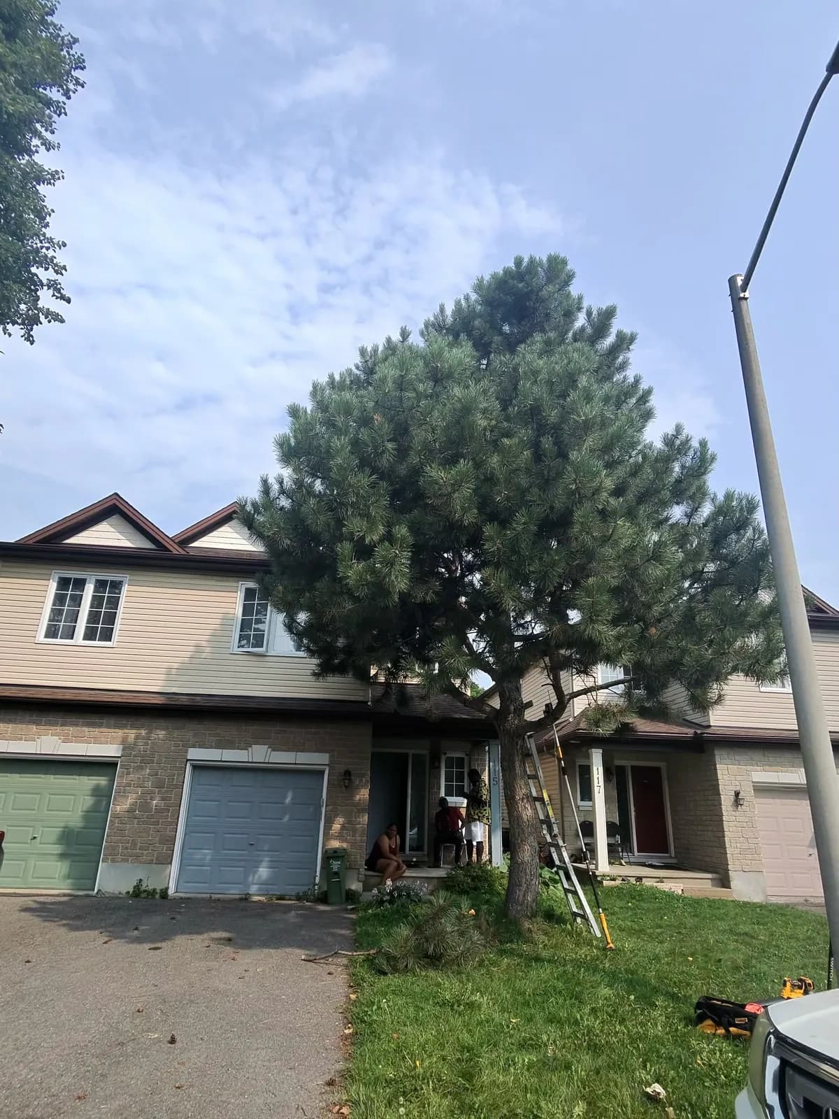 Large pine with low branches extending across a townhouse front yard before trimming.